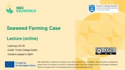 Seaweed Farming Case