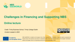 Challenges in financing and implementing NBS