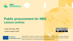 Public procurement for NBS