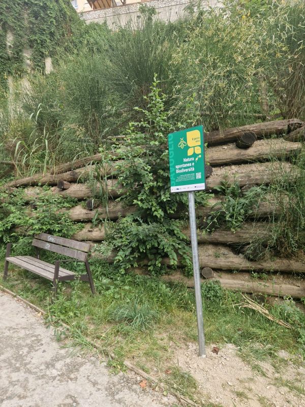 “Unkempt Doesn’t Mean Abandoned!” - NBS Tell Their Story at Gavoglio Urban Park (Genoa)