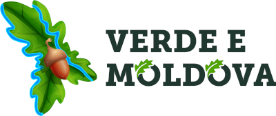 Association Verde e Moldova (VEM)